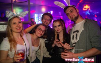 Die 1€ Osterhasen Party